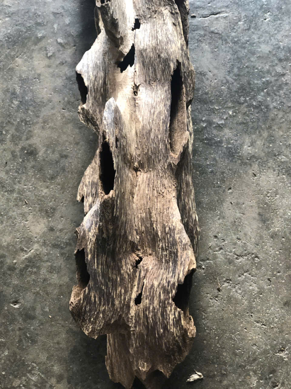 Xưởng chế tác trầm hương 5